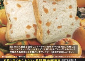 5月の限定食パンは【乳酸菌の入ったすっきりヨーグルト風味 完熟バレンシアオレンジのサワー食パン】